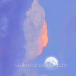 Avatar Juana Villaseñor